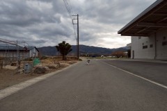 bordercollie202504_027