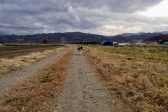 bordercollie202504_028